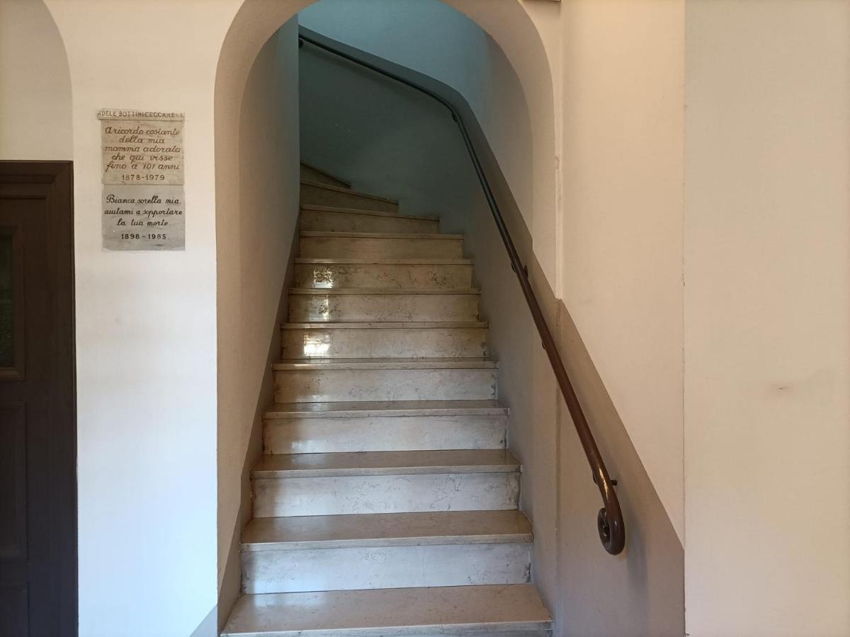 Beyond Colosseum Roma Eksteriør bilde